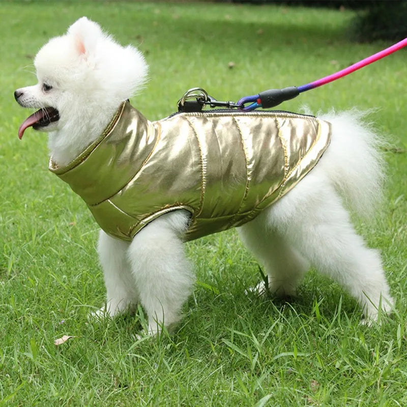 Winter Thick Warm Dog Jacket -  Tenini Strive Pet