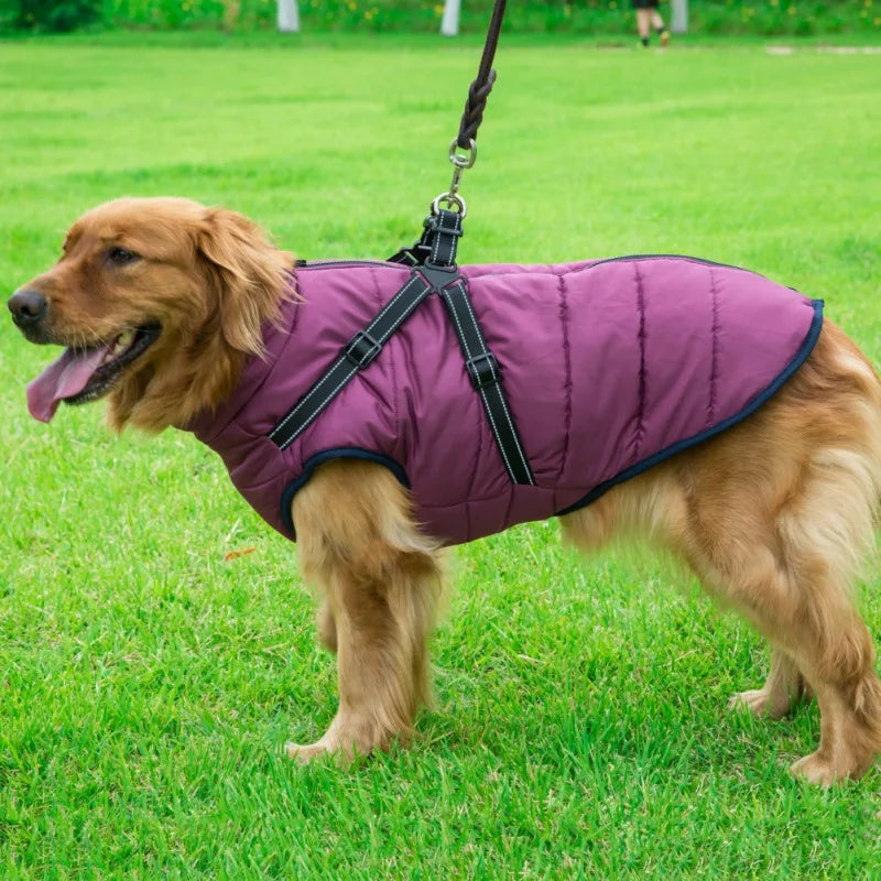 Soft Warm Dog Harness Jacket -  Tenini Strive Pet