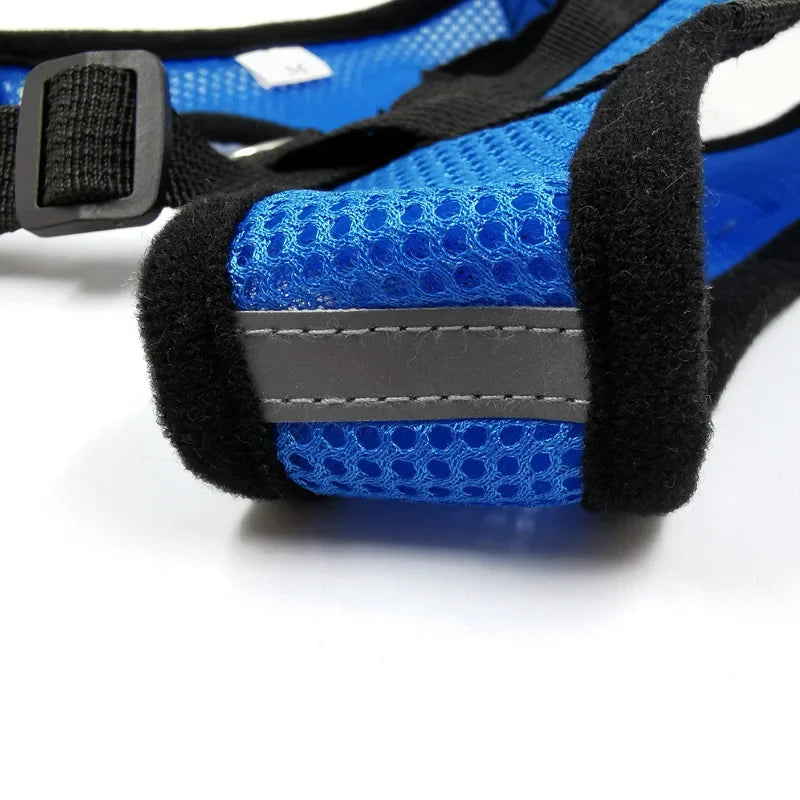 Dog Harness Walking Lead Leash -  Tenini Strive Pet