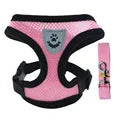 Dog Harness Walking Lead Leash -  Tenini Strive Pet
