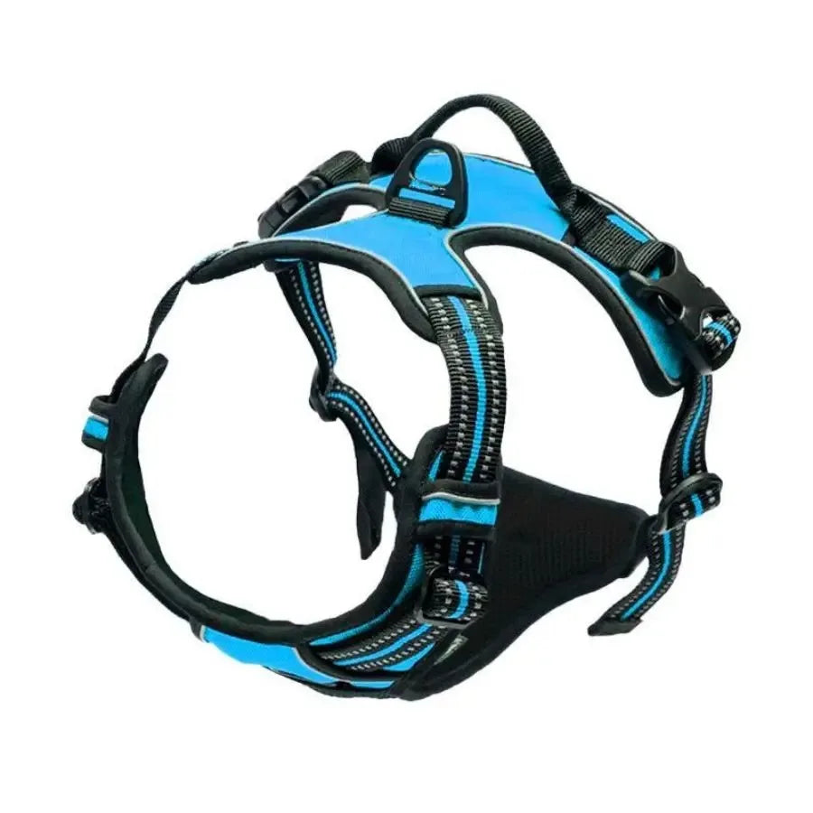 Dog Big Vest Harness Set for Training & Walks | Tenini Strive Pet
