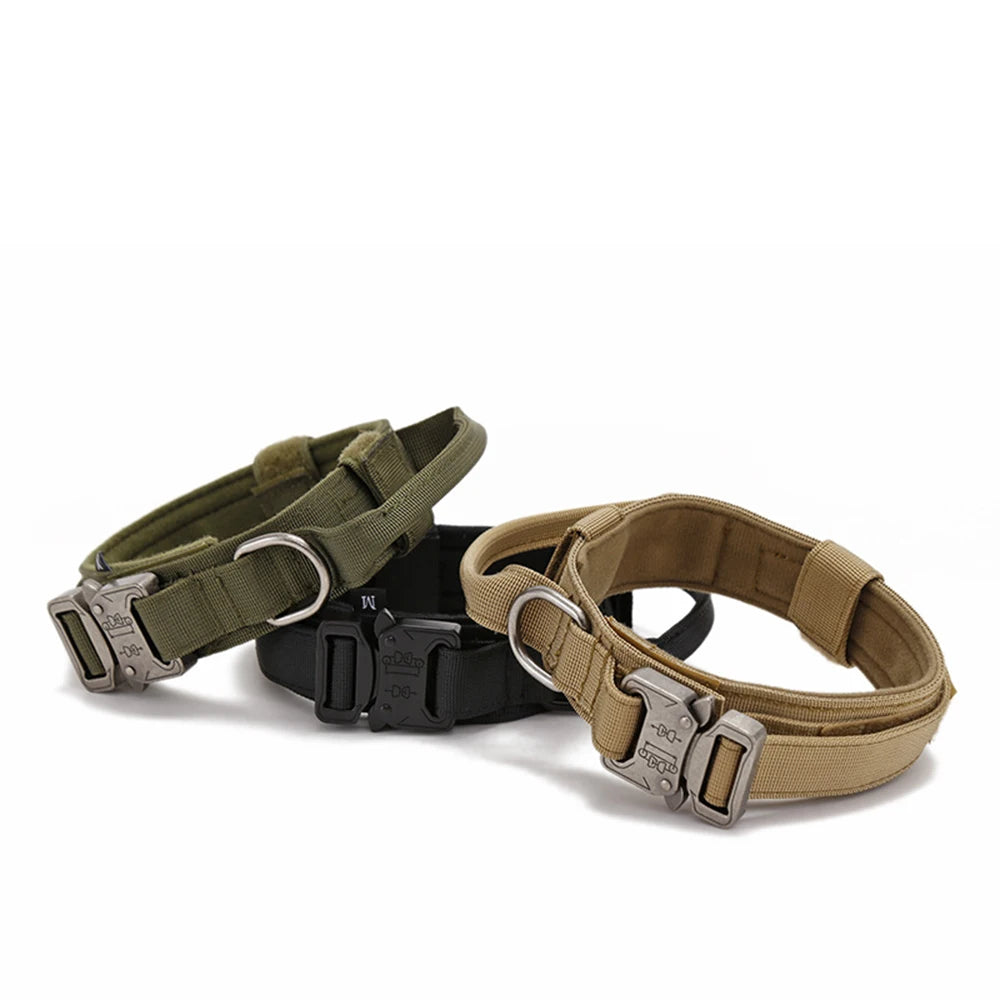 Nylon Dog Collar Leash Set -  Tenini Strive Pet