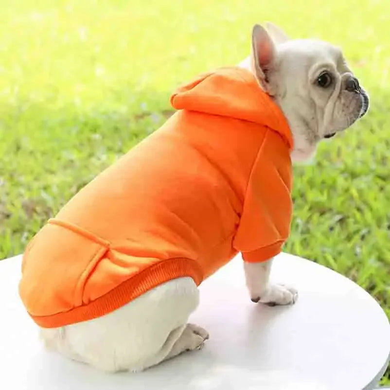 Dog Winter Hooded Sweatshirt -  Tenini Strive Pet