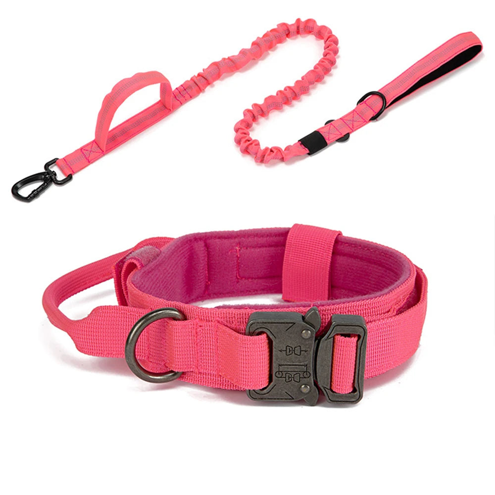 Nylon Dog Collar Leash Set -  Tenini Strive Pet