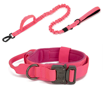 Nylon Dog Collar Leash Set -  Tenini Strive Pet