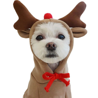 Fall Dog Cute Plush Hoodies -  Tenini Strive Pet