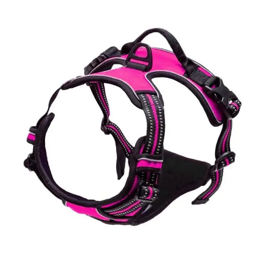 Dog Big Vest Harness Set for Training & Walks | Tenini Strive Pet