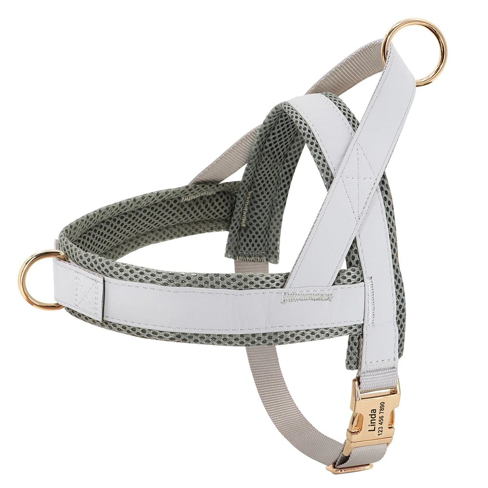 Adjustable No Pull Dog Harness with Custom Engraving | Tenini Strive Pet