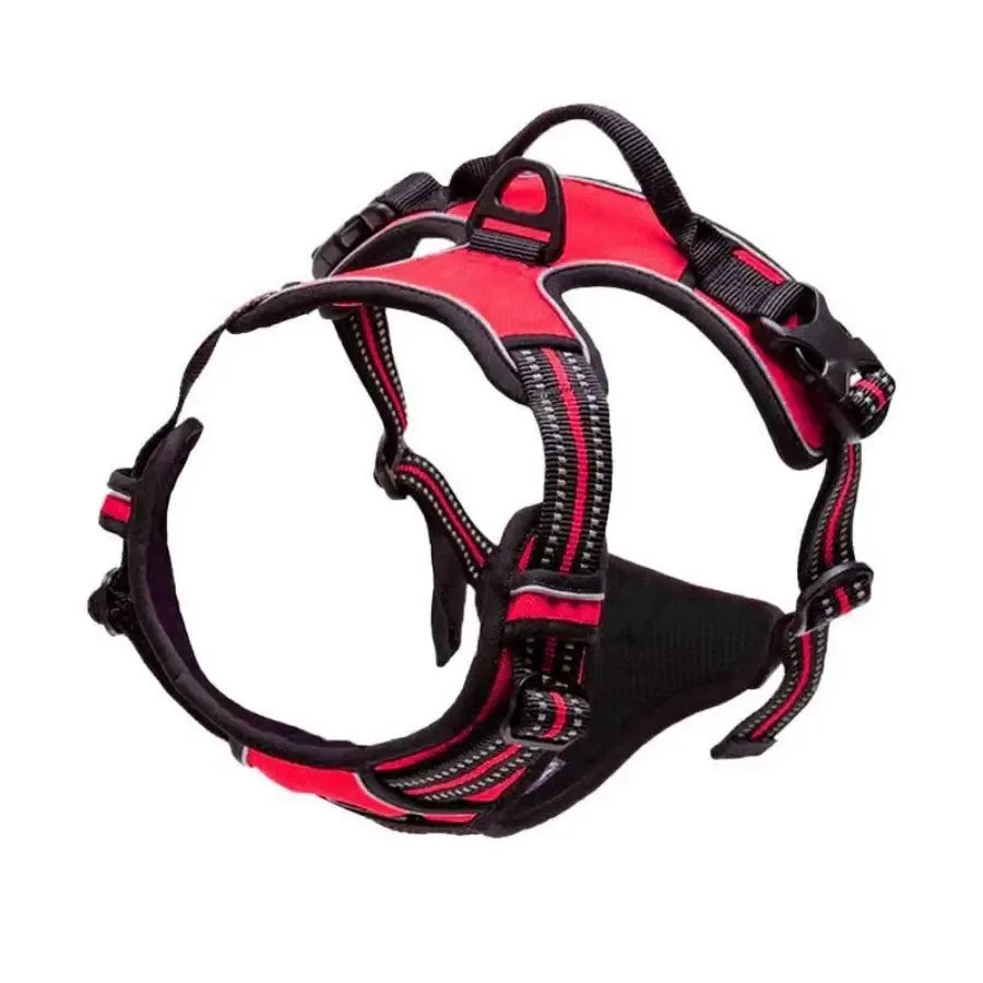 Dog Big Vest Harness Set for Training & Walks | Tenini Strive Pet