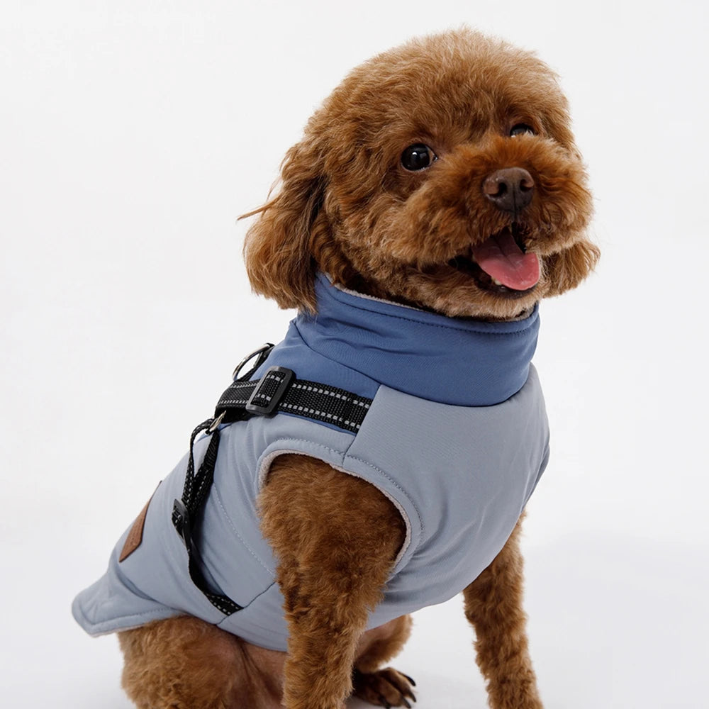 Waterproof Dog Jacket With Harness -  Tenini Strive Pet