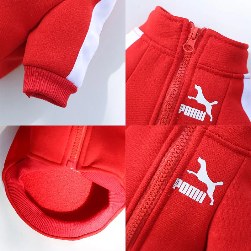 Winter Baseball Dog Jacket -  Tenini Strive Pet