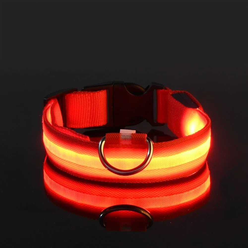Dog Nylon LED Night Safety Collar -  Tenini Strive Pet