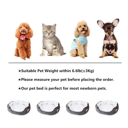 Dog Provides Warmth Sofa Bed -  Tenini Strive Pet