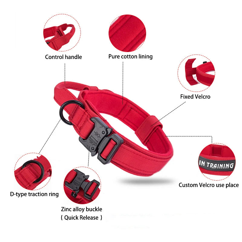 Nylon Dog Collar Leash Set -  Tenini Strive Pet