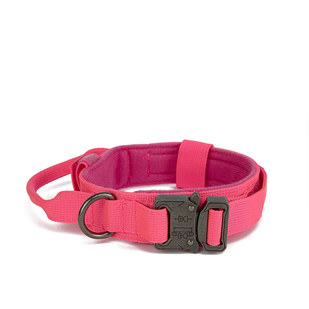 Nylon Dog Collar Leash Set -  Tenini Strive Pet