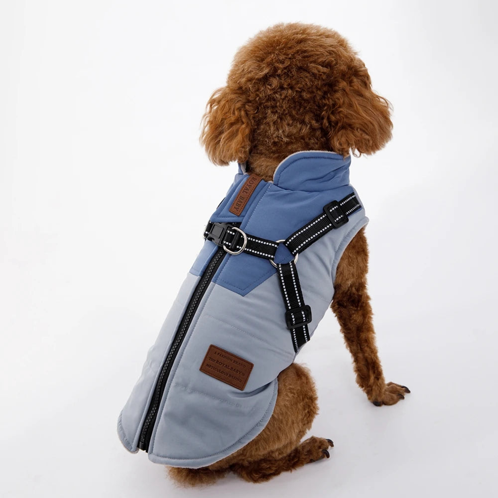 Waterproof Dog Jacket With Harness -  Tenini Strive Pet
