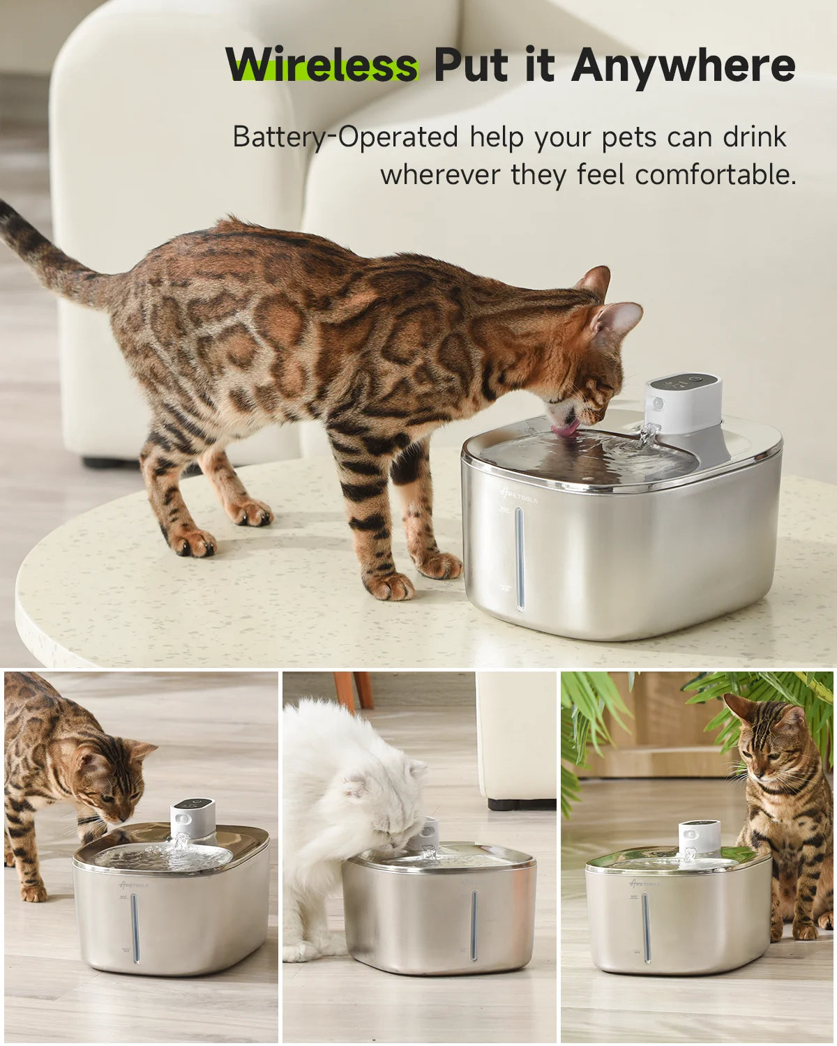 Wireless Cat Water Fountain -  Tenini Strive Pet