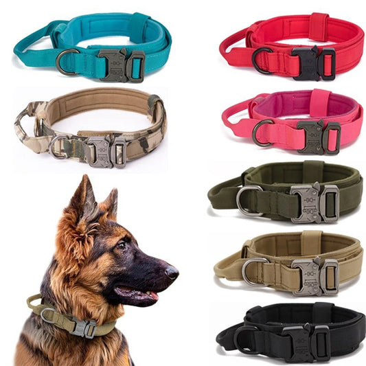 Nylon Dog Collar Leash Set -  Tenini Strive Pet