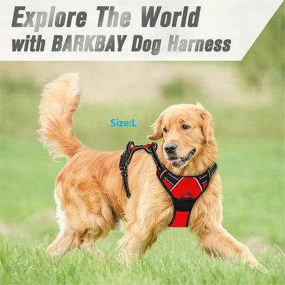 Dog Big Vest Harness Set for Training & Walks | Tenini Strive Pet