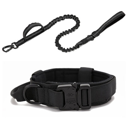 Nylon Dog Collar Leash Set -  Tenini Strive Pet