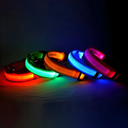 Dog Nylon LED Night Safety Collar -  Tenini Strive Pet