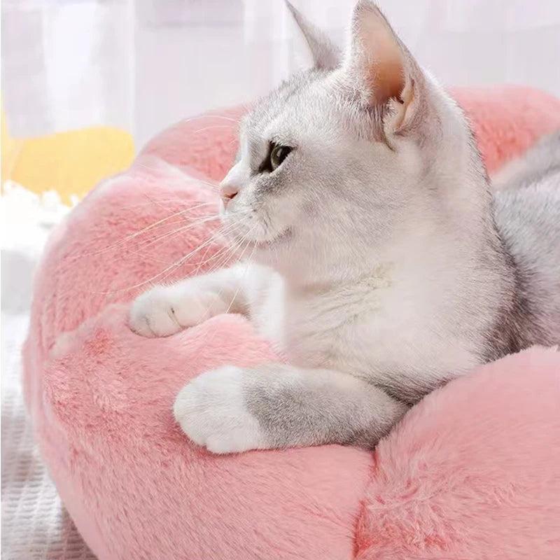 Soft Plush Pet Cat Flower Nest -  Tenini Strive Pet