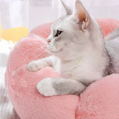 Soft Plush Pet Cat Flower Nest -  Tenini Strive Pet