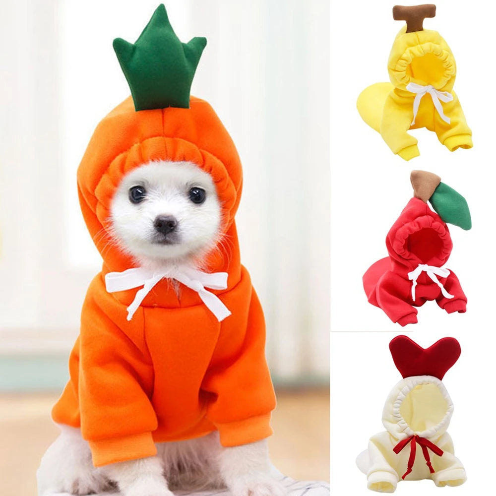Fall Dog Cute Plush Hoodies -  Tenini Strive Pet