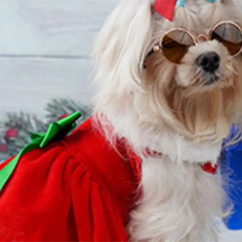 Dog Santa Claus Suit -  Tenini Strive Pet