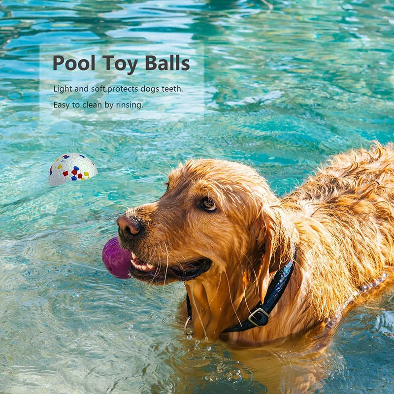 Dog High Elasticity E-TPU Ball Toy -  Tenini Strive Pet