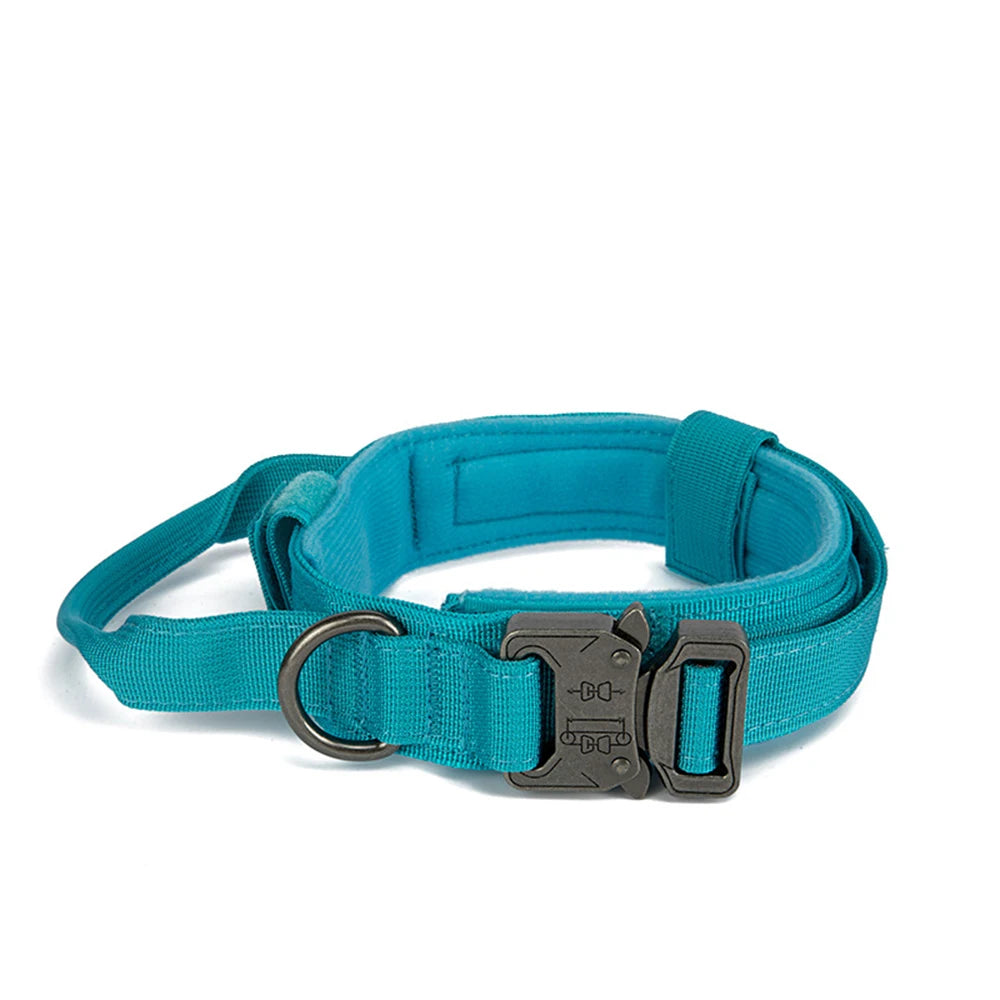Nylon Dog Collar Leash Set -  Tenini Strive Pet