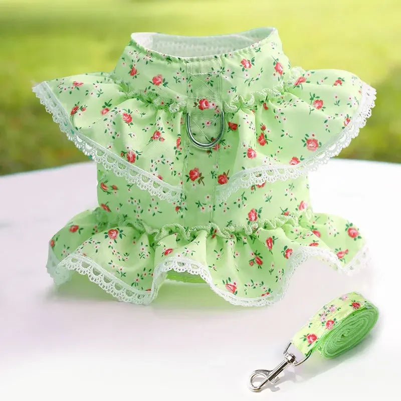 Cute Angel Wings Dog Harness for Small Dogs | Tenini Strive Pet