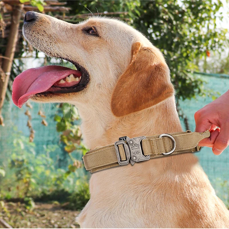 Nylon Dog Collar Leash Set -  Tenini Strive Pet