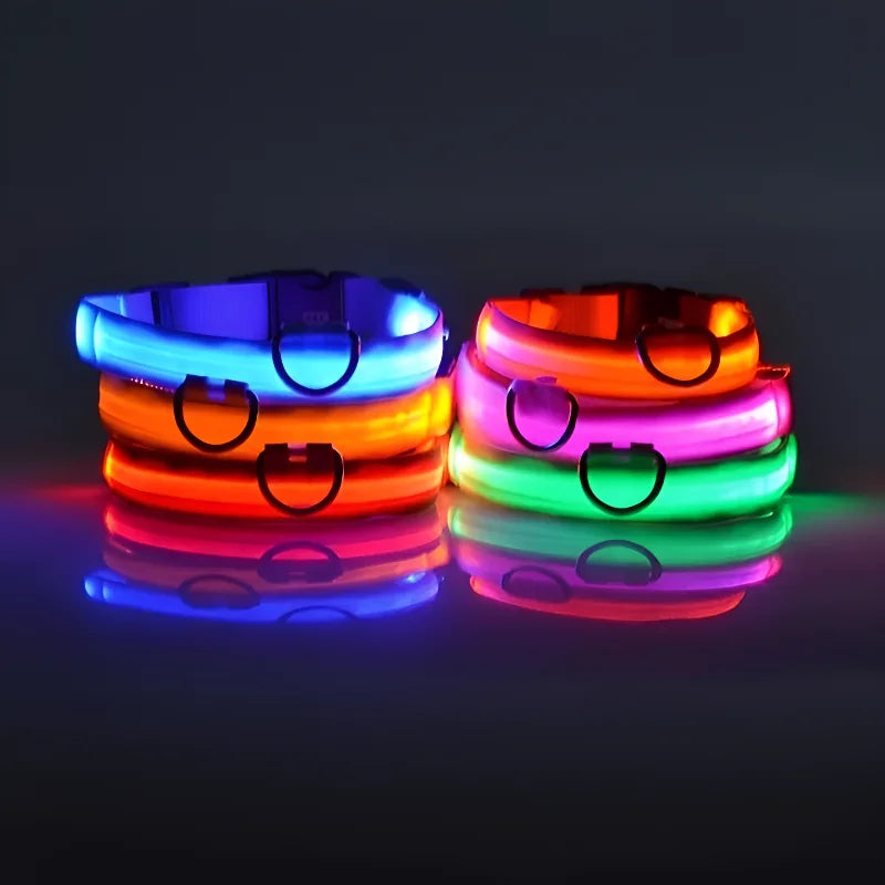 Dog Nylon LED Night Safety Collar -  Tenini Strive Pet