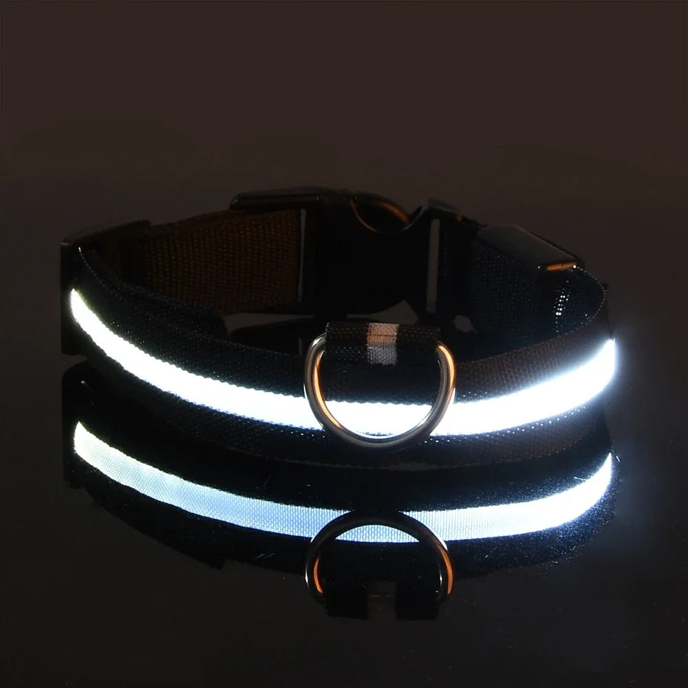 Dog Nylon LED Night Safety Collar -  Tenini Strive Pet