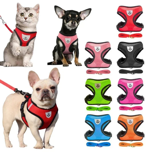 Dog Harness Walking Lead Leash -  Tenini Strive Pet