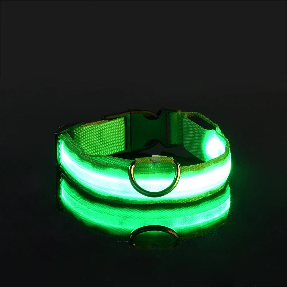 Dog Nylon LED Night Safety Collar -  Tenini Strive Pet
