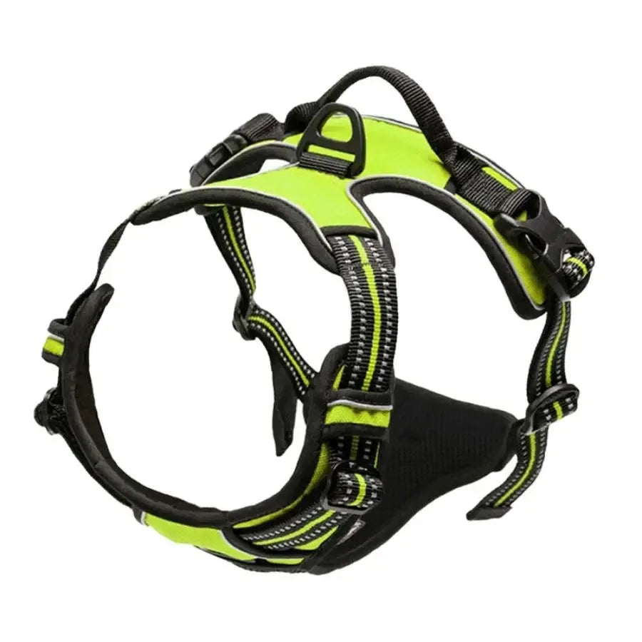 Dog Big Vest Harness Set for Training & Walks | Tenini Strive Pet