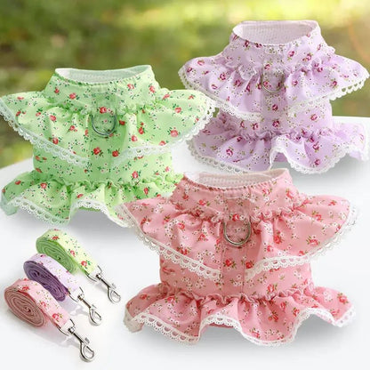 Cute Angel Wings Dog Harness for Small Dogs | Tenini Strive Pet
