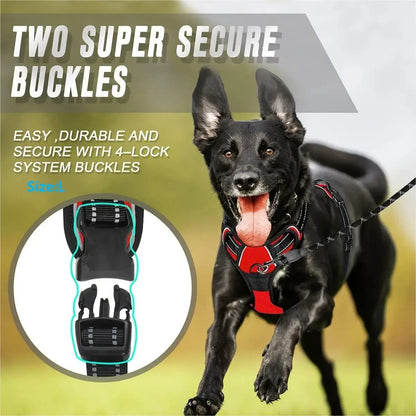 Dog Big Vest Harness Set for Training & Walks | Tenini Strive Pet