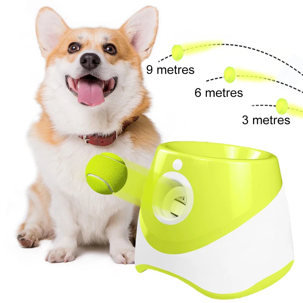 Automatic Dog Tennis Launcher for Fetch Games | Tenini Strive Pet