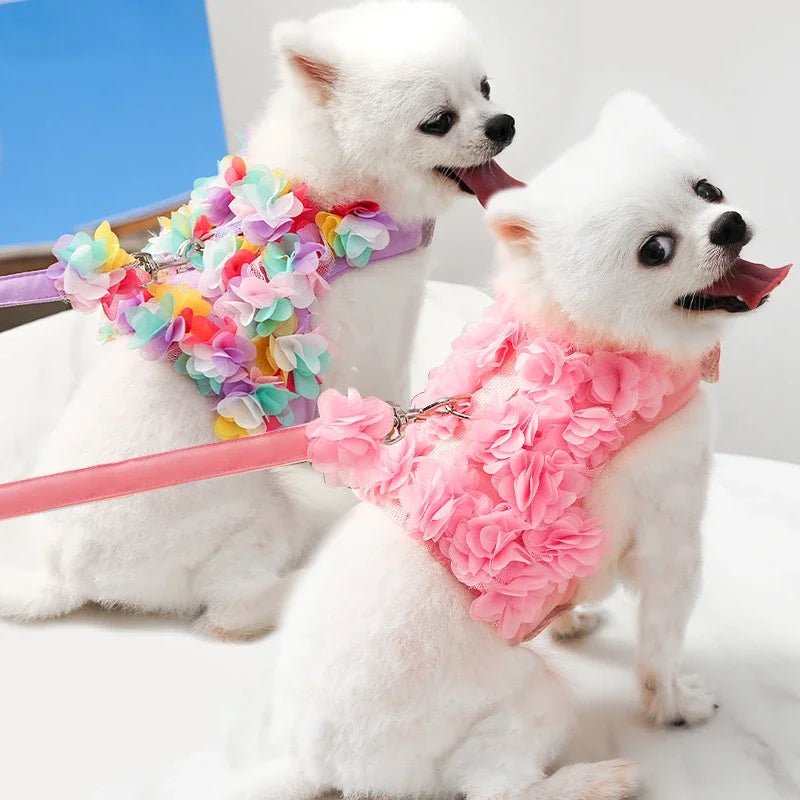 Cute Angel Wings Dog Harness for Small Dogs | Tenini Strive Pet