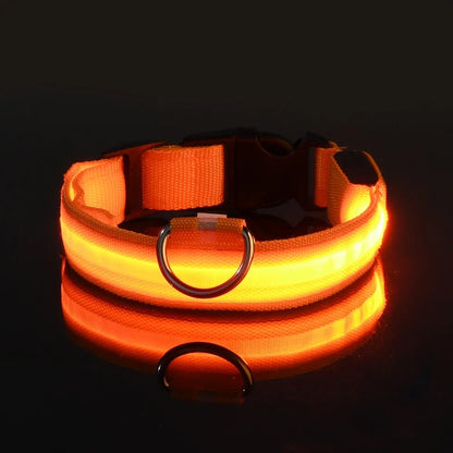 Dog Nylon LED Night Safety Collar -  Tenini Strive Pet