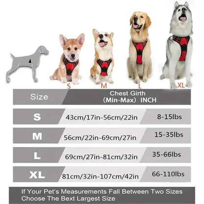 Dog Big Vest Harness Set for Training & Walks | Tenini Strive Pet