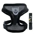 Dog Harness Walking Lead Leash -  Tenini Strive Pet