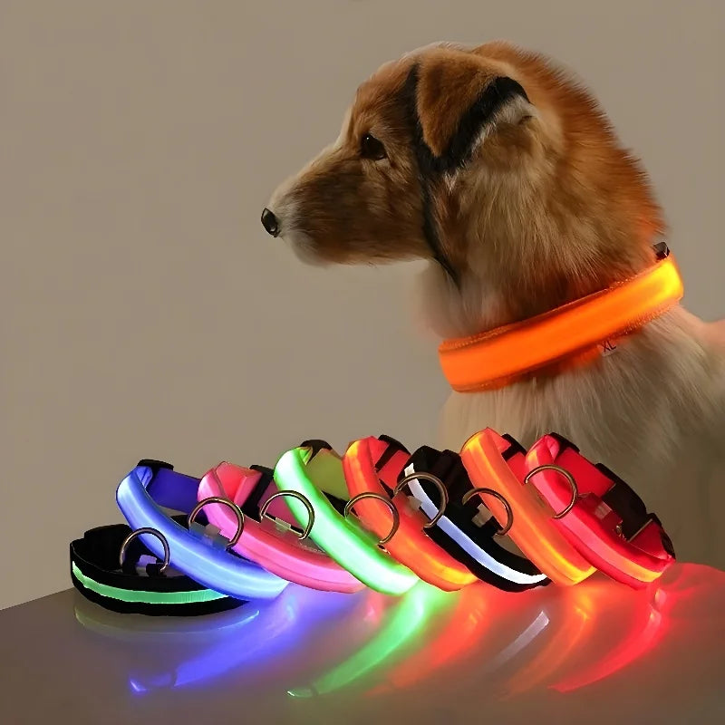 Dog Nylon LED Night Safety Collar -  Tenini Strive Pet