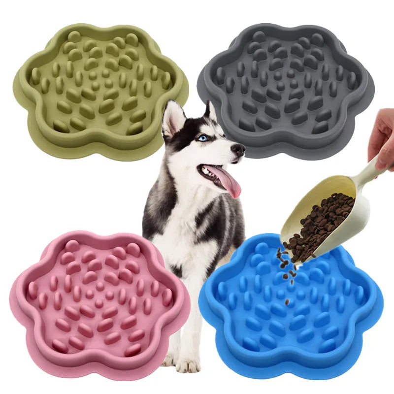  Tenini Strive Pet
