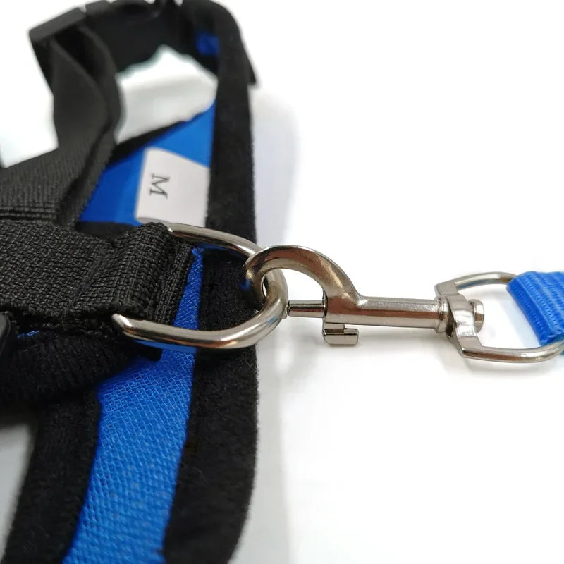Dog Harness Walking Lead Leash -  Tenini Strive Pet