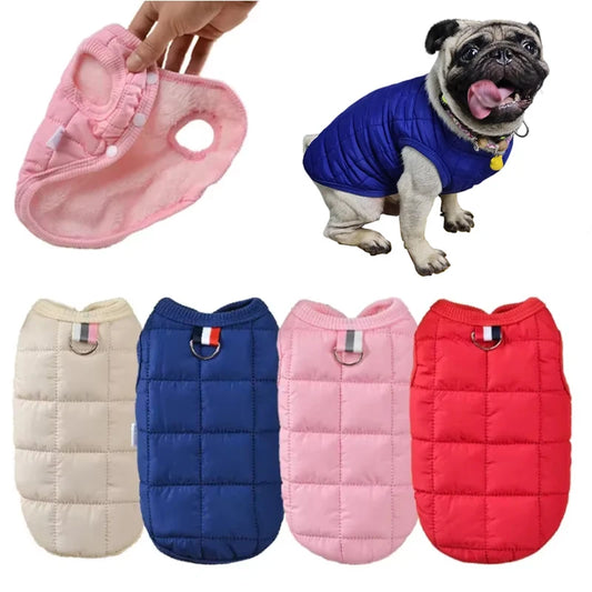 Windproof Warm Dog Jacket -  Tenini Strive Pet