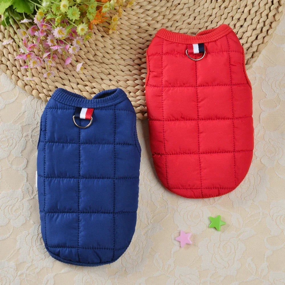 Windproof Warm Dog Jacket -  Tenini Strive Pet